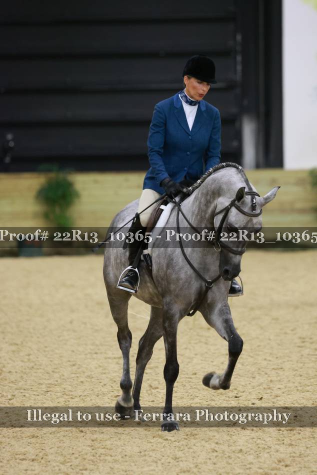 Proof 22R13_10365