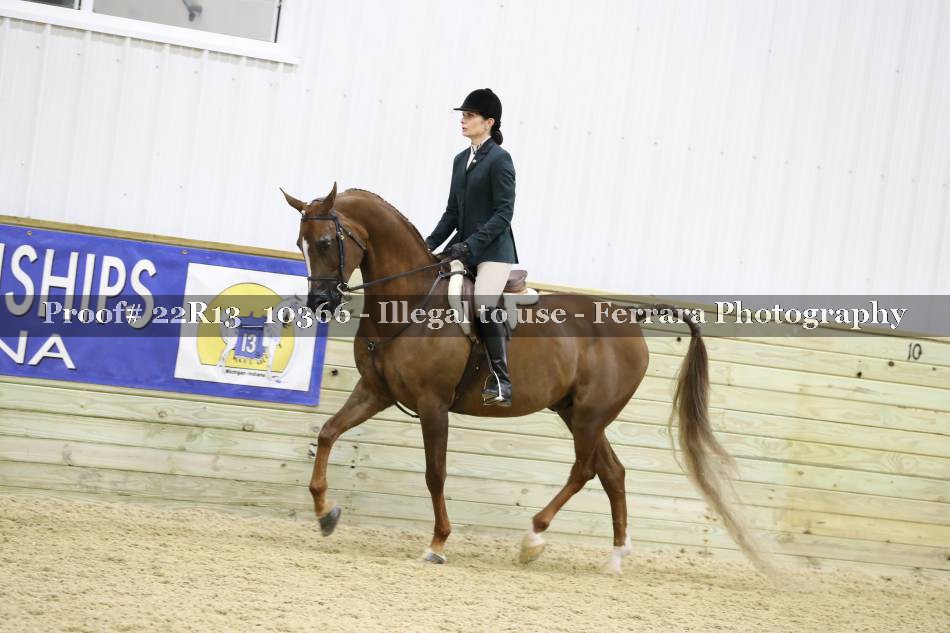 Proof 22R13_10366