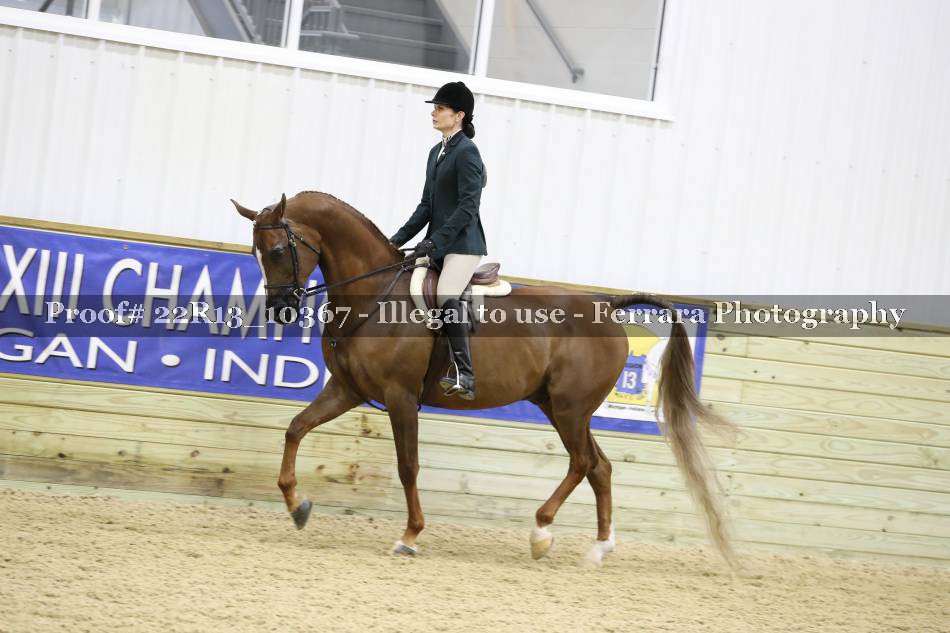 Proof 22R13_10367