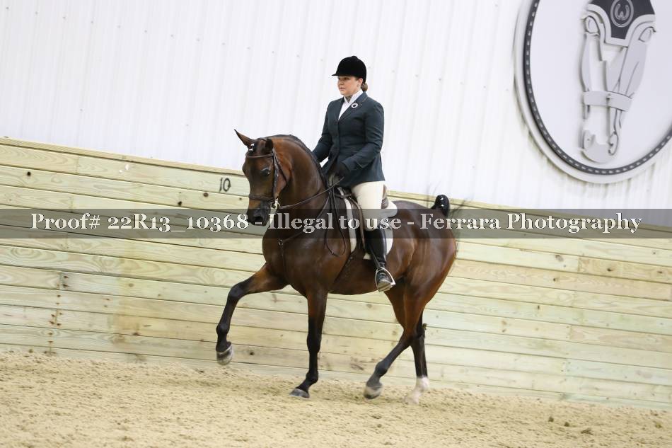 Proof 22R13_10368