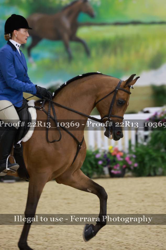 Proof 22R13_10369