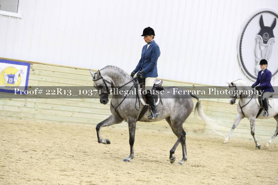 Proof 22R13_10371