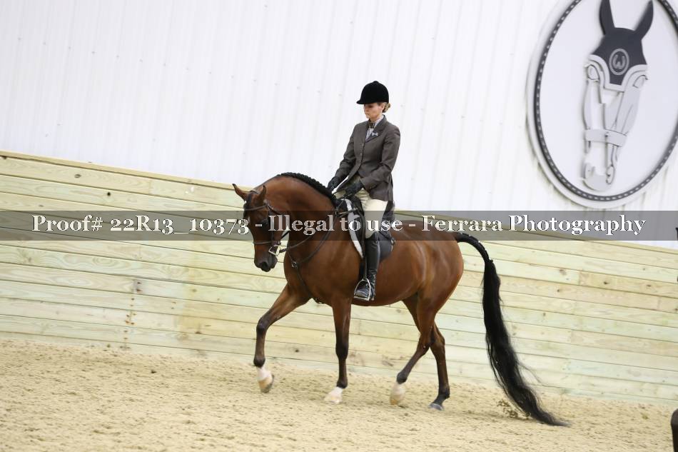 Proof 22R13_10373