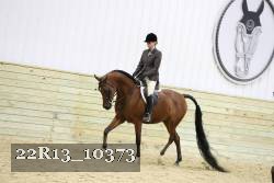 22R13_10373 proof
