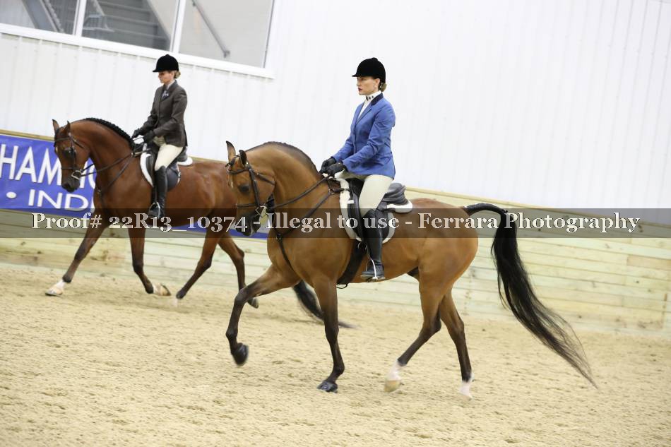 Proof 22R13_10374