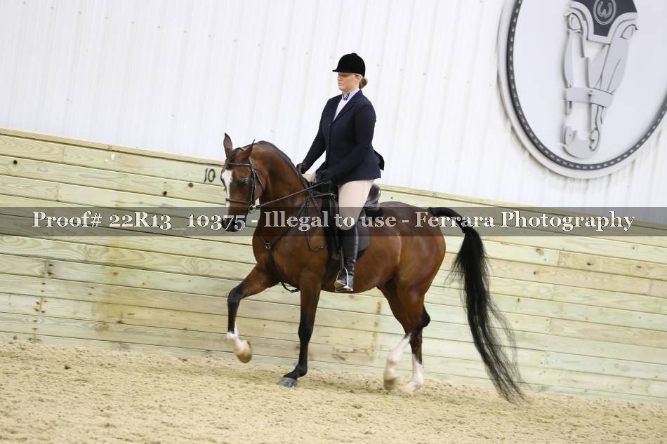 Proof 22R13_10375