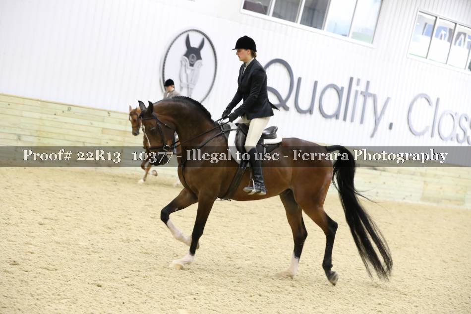 Proof 22R13_10377