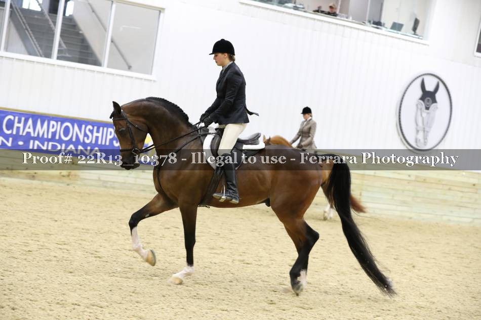 Proof 22R13_10378