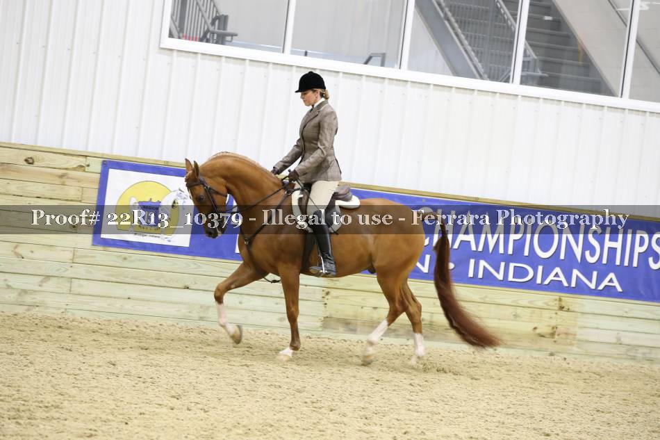 Proof 22R13_10379