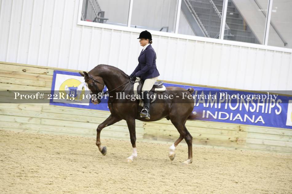 Proof 22R13_10381