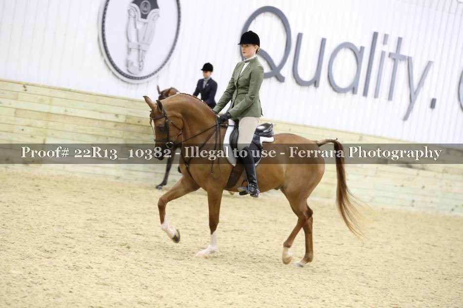 Proof 22R13_10382