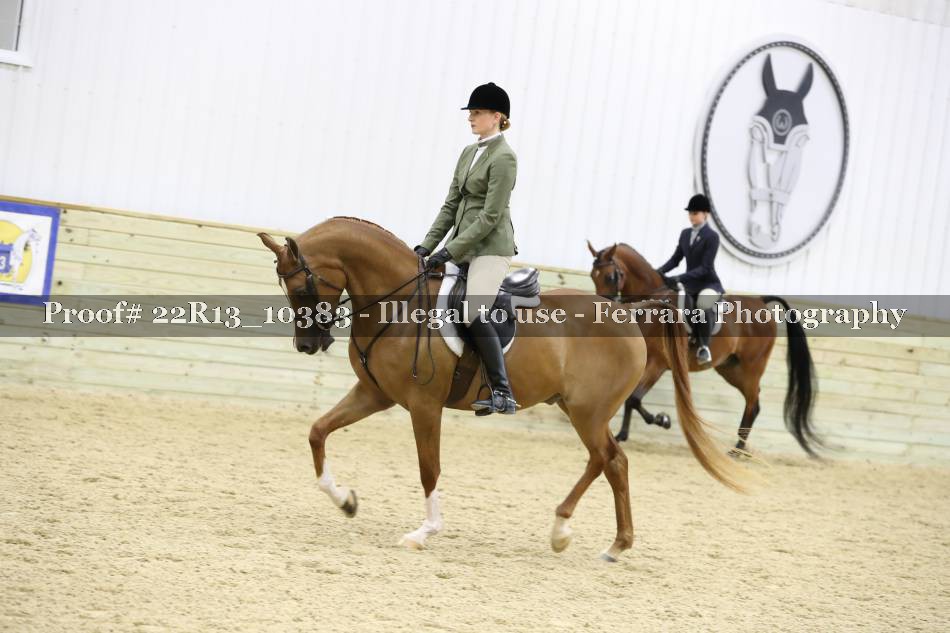 Proof 22R13_10383