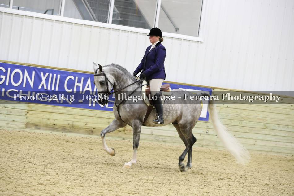 Proof 22R13_10386