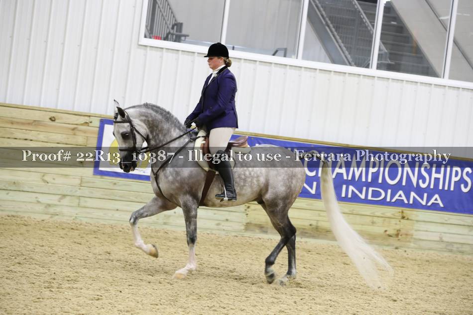 Proof 22R13_10387
