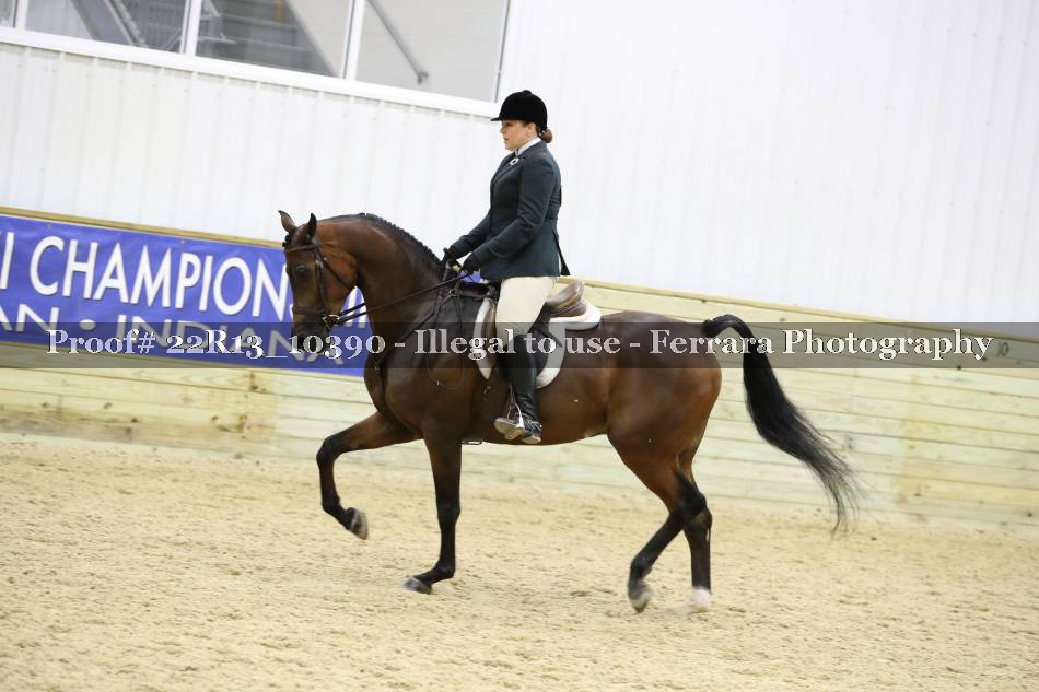 Proof 22R13_10390