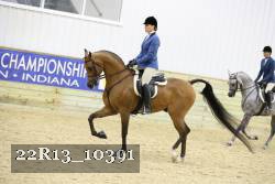 22R13_10391 proof