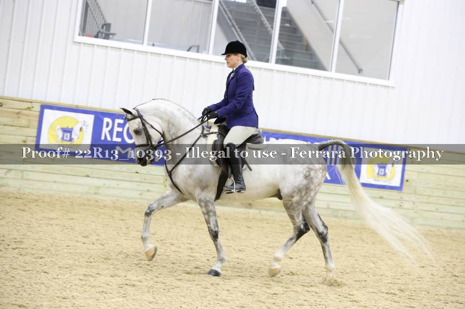 Proof 22R13_10393