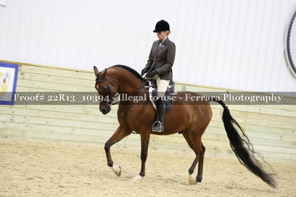 Proof 22R13_10394