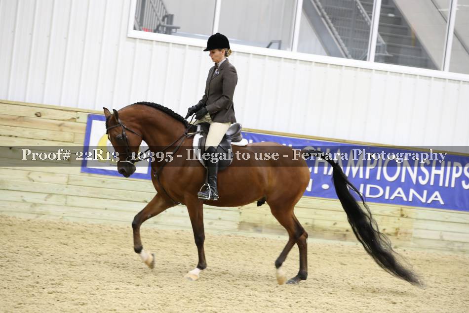 Proof 22R13_10395