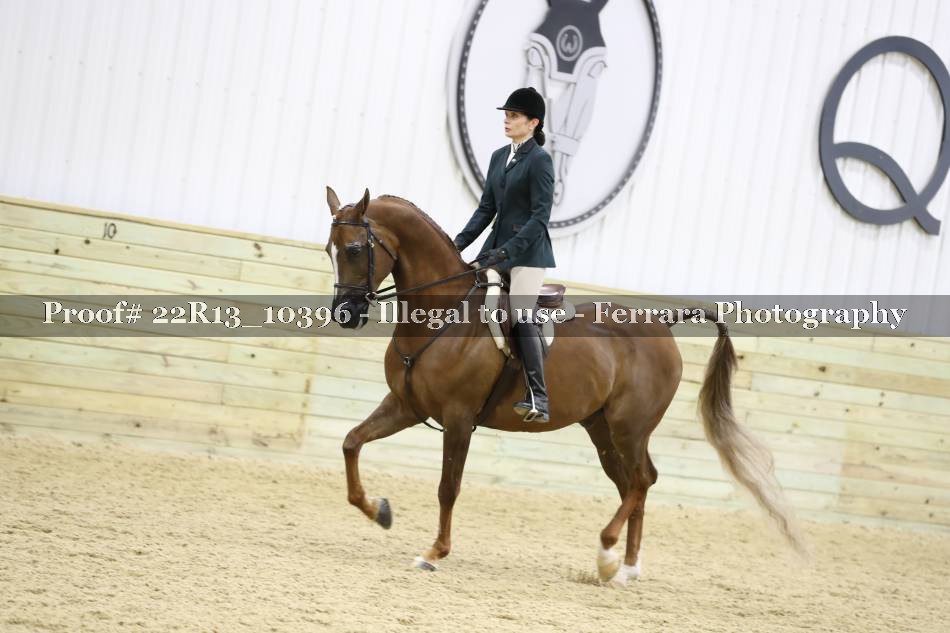 Proof 22R13_10396