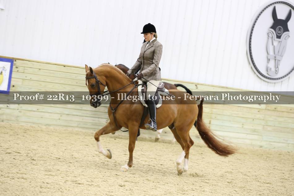 Proof 22R13_10399