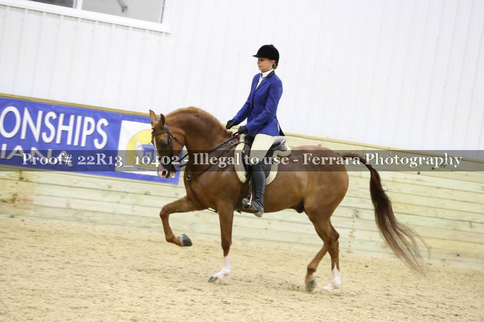 Proof 22R13_10402