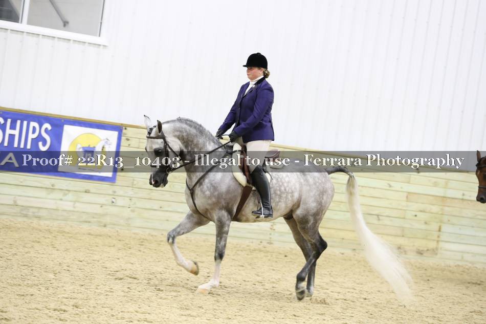 Proof 22R13_10403