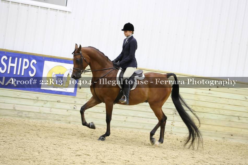 Proof 22R13_10404