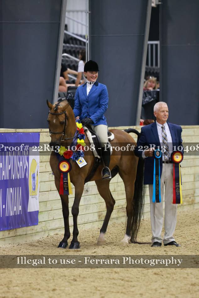 Proof 22R13_10408