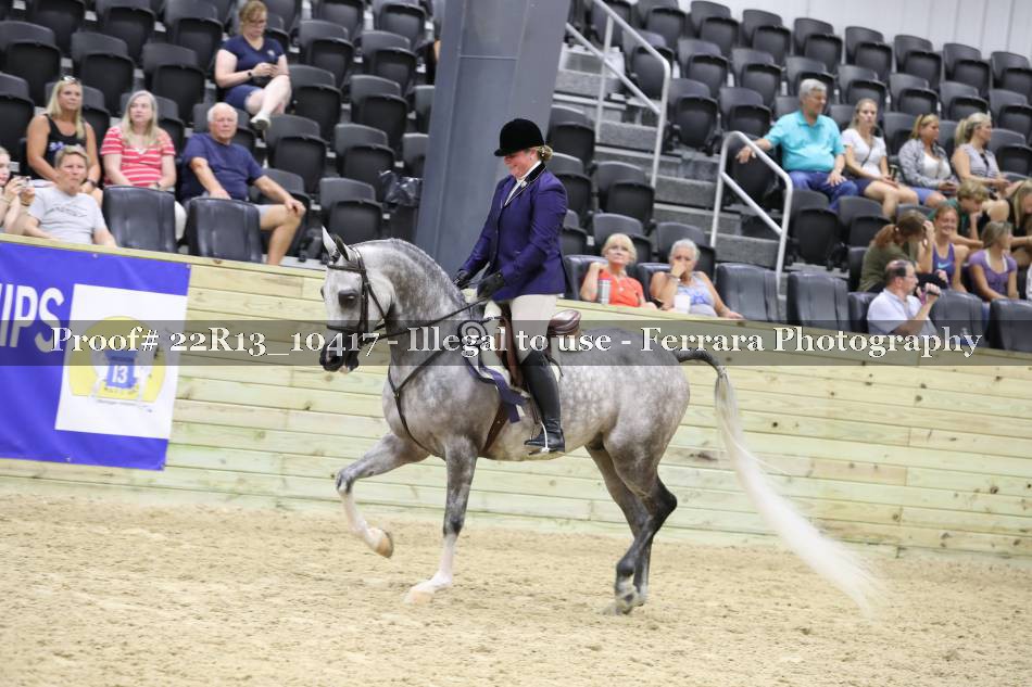 Proof 22R13_10417
