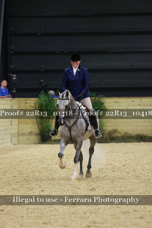 Proof 22R13_10418