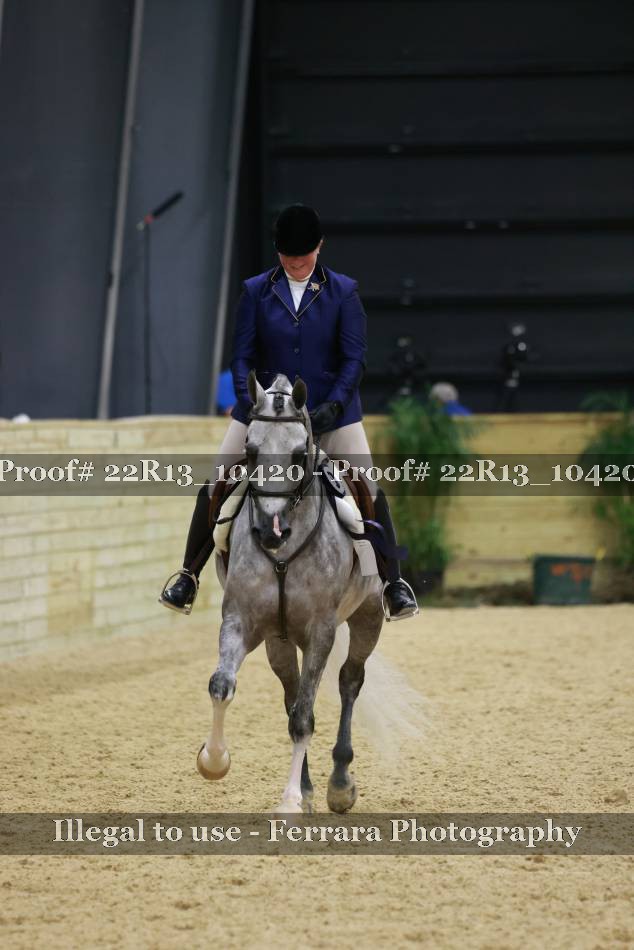 Proof 22R13_10420