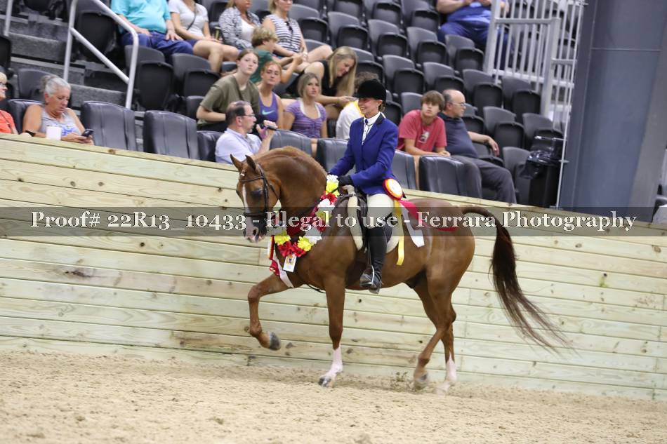 Proof 22R13_10433