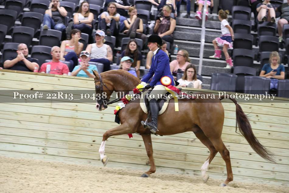 Proof 22R13_10438