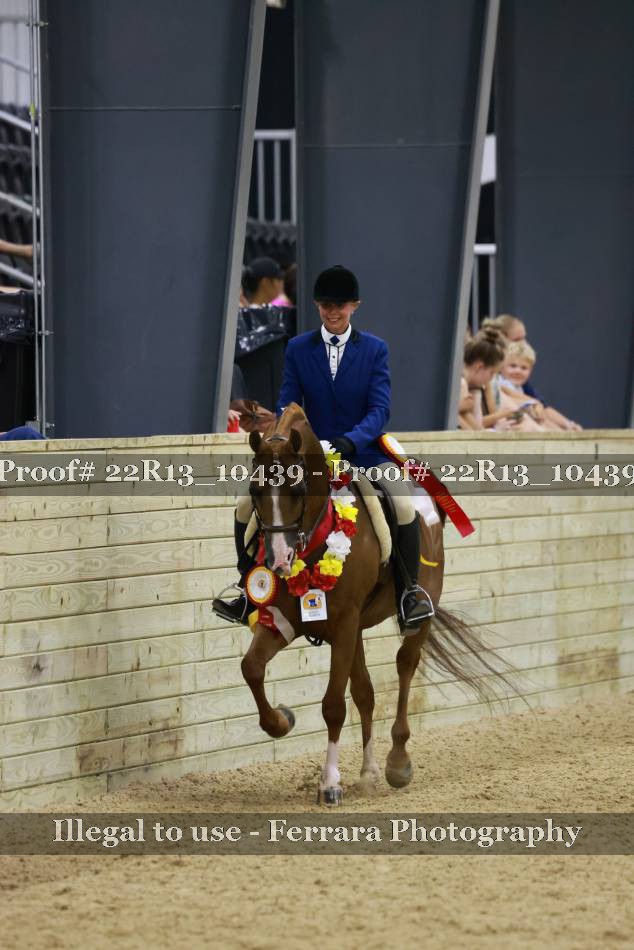 Proof 22R13_10439