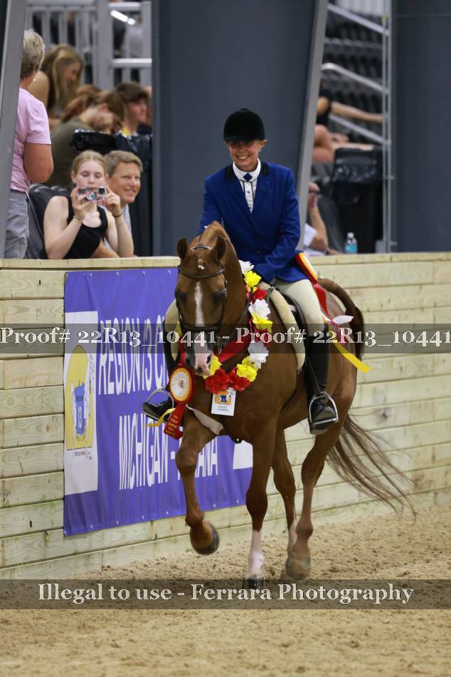 Proof 22R13_10441