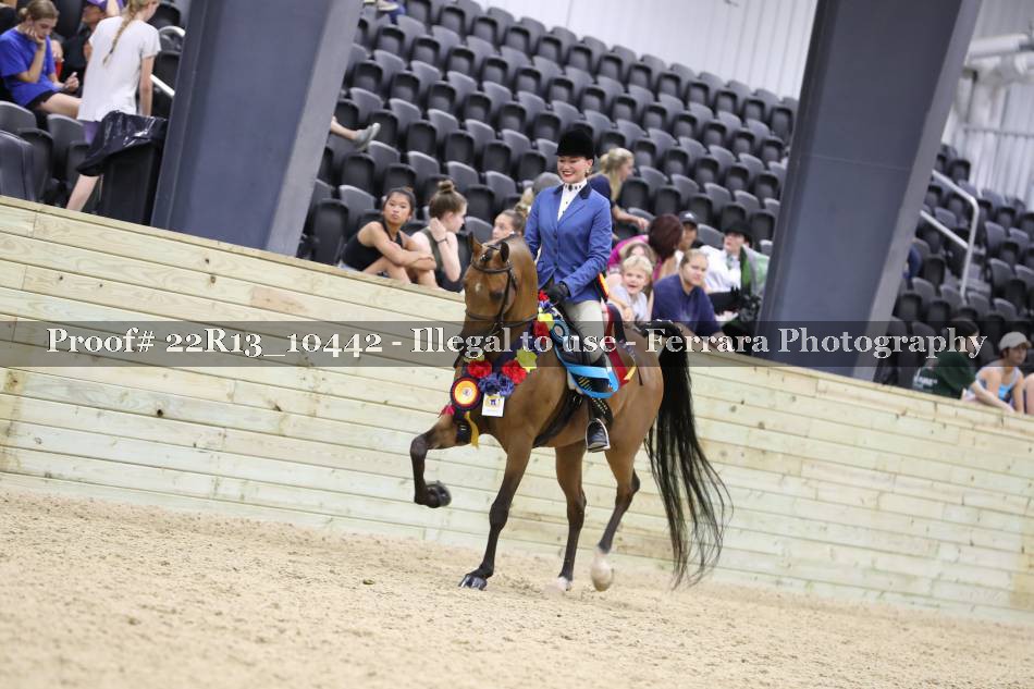 Proof 22R13_10442