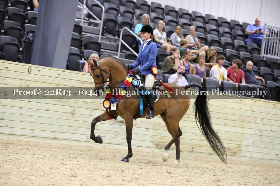 Proof 22R13_10446