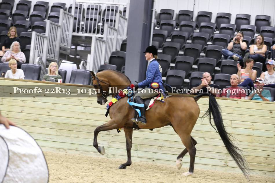 Proof 22R13_10451