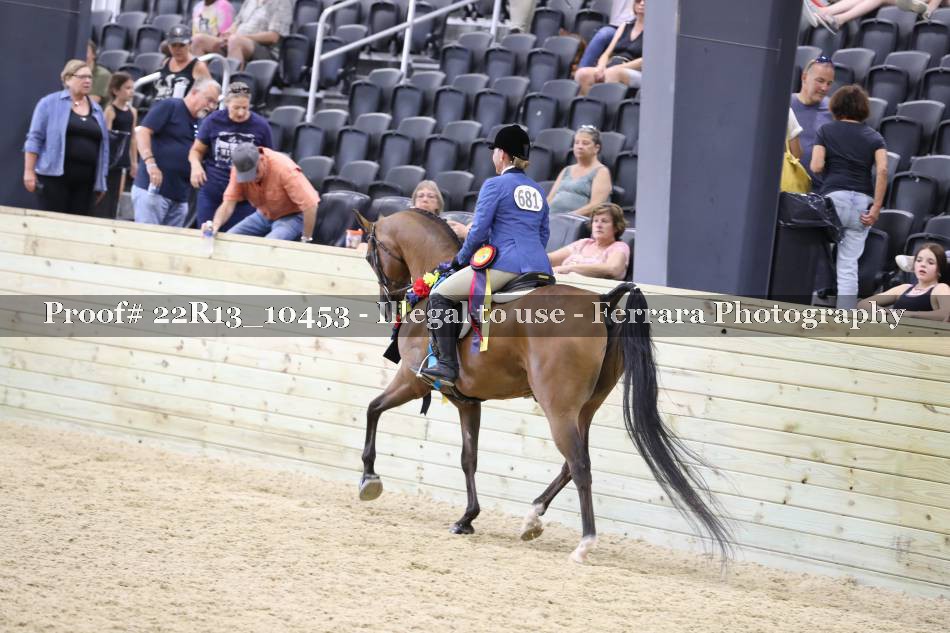 Proof 22R13_10453