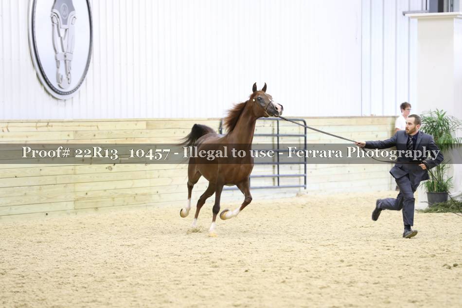 Proof 22R13_10457