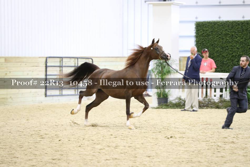 Proof 22R13_10458