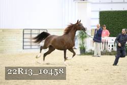 22R13_10458 proof