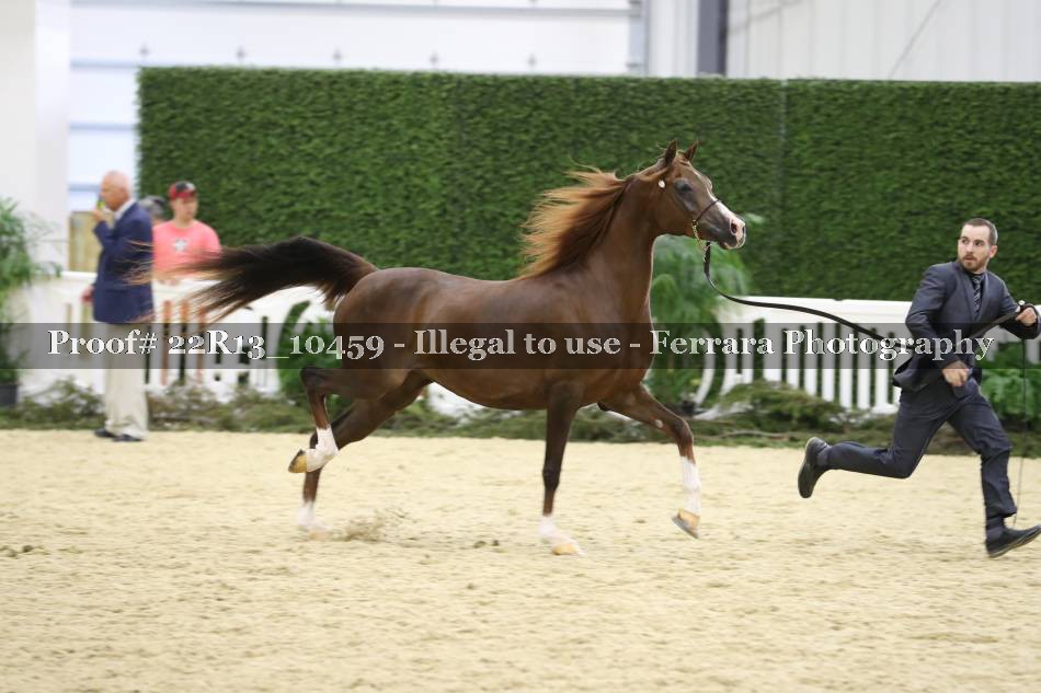 Proof 22R13_10459