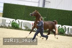 22R13_10460 proof