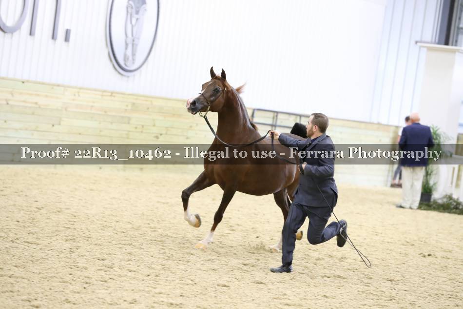 Proof 22R13_10462