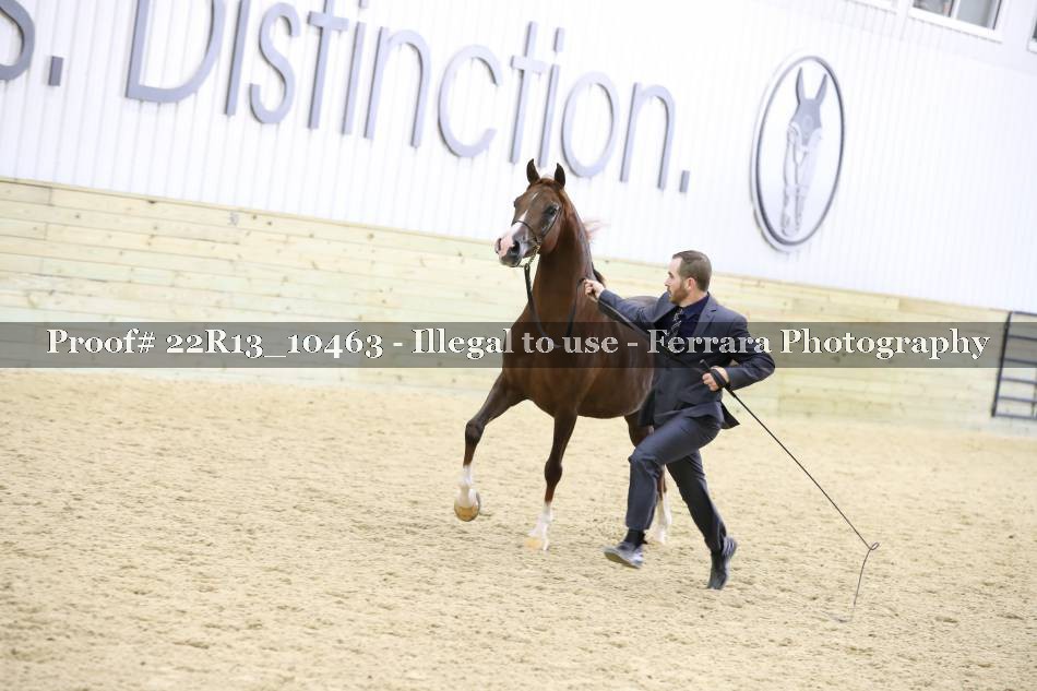Proof 22R13_10463