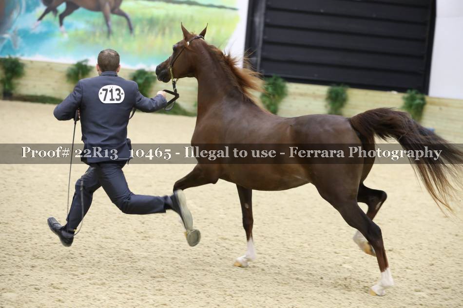 Proof 22R13_10465