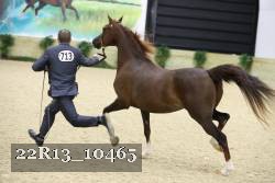 22R13_10465 proof