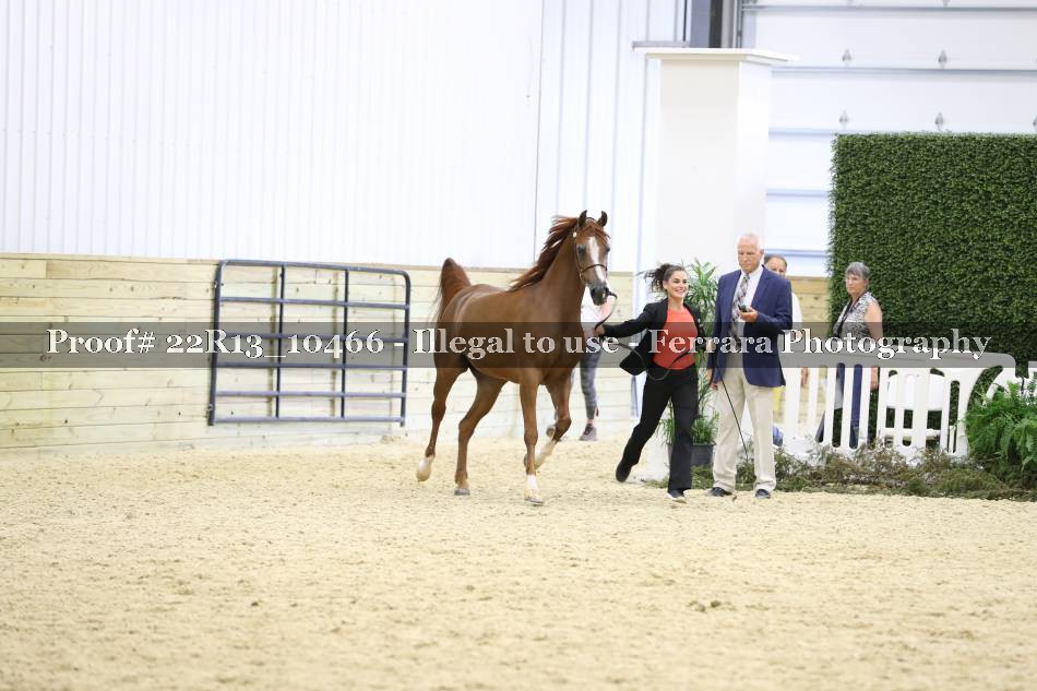 Proof 22R13_10466